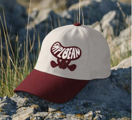 Two-tone bean cap